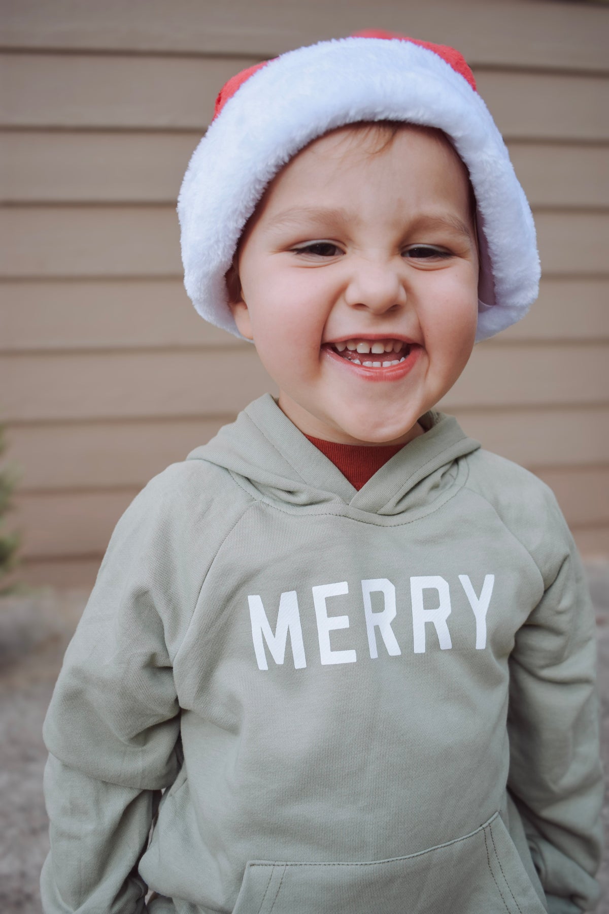 Merry Christmas Graphic Hoodie or Crewneck Sweatshirt