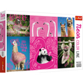 1000 Piece Jigsaw Puzzles, Crazy Animals, Silly Animals, Panda, Llama, Sloth, Flamingo, Adult Puzzles, Trefl 10594
