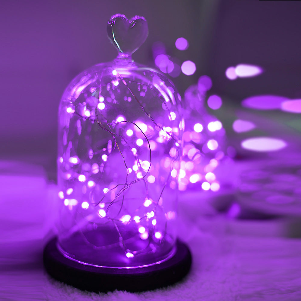 20 LED Silver Copper Fairy Lights - Battery Operated