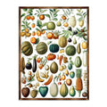 Fruit Montessori Wooden Poster - Kids Educational Poster - Homeschool I Classroom Decor - Aesthetic - 310224