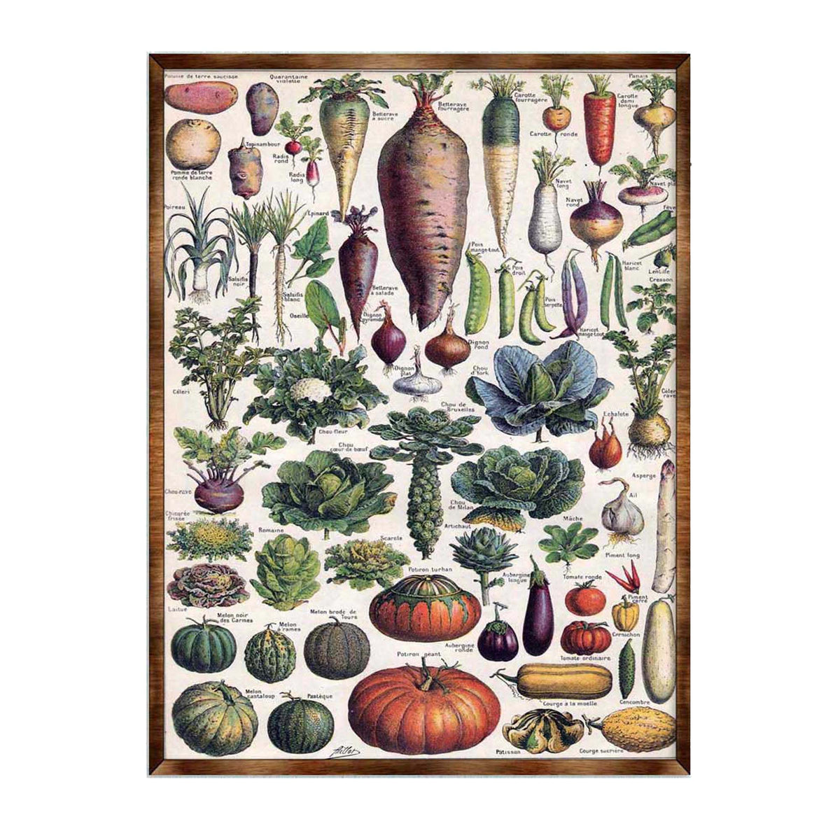 Root Vegetables Wall Decor - Kids room - ABC 123 Kids - Homeschool I Educational Poster - Art for kids - Vegetables - Classroom Decor 310226