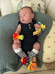 Garden Bug Baby Rattle Socks & Wrist Rattles Set