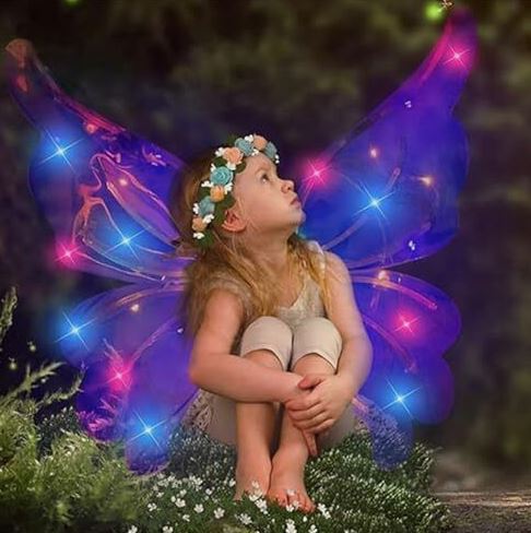 LED Butterfly Wings Light-Up Costume