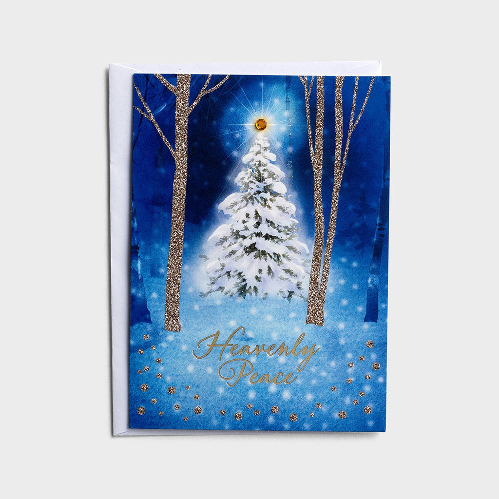 Snowy Scenes Dual Pack Christmas Boxed Cards