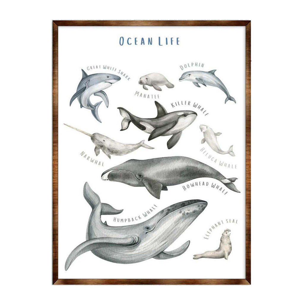Ocean Animals Wooden Kids Room Décor - First day of school gift - Homeschool I Montessori wooden Educational Poster - Classroom Décor - Playroom Art - 310216