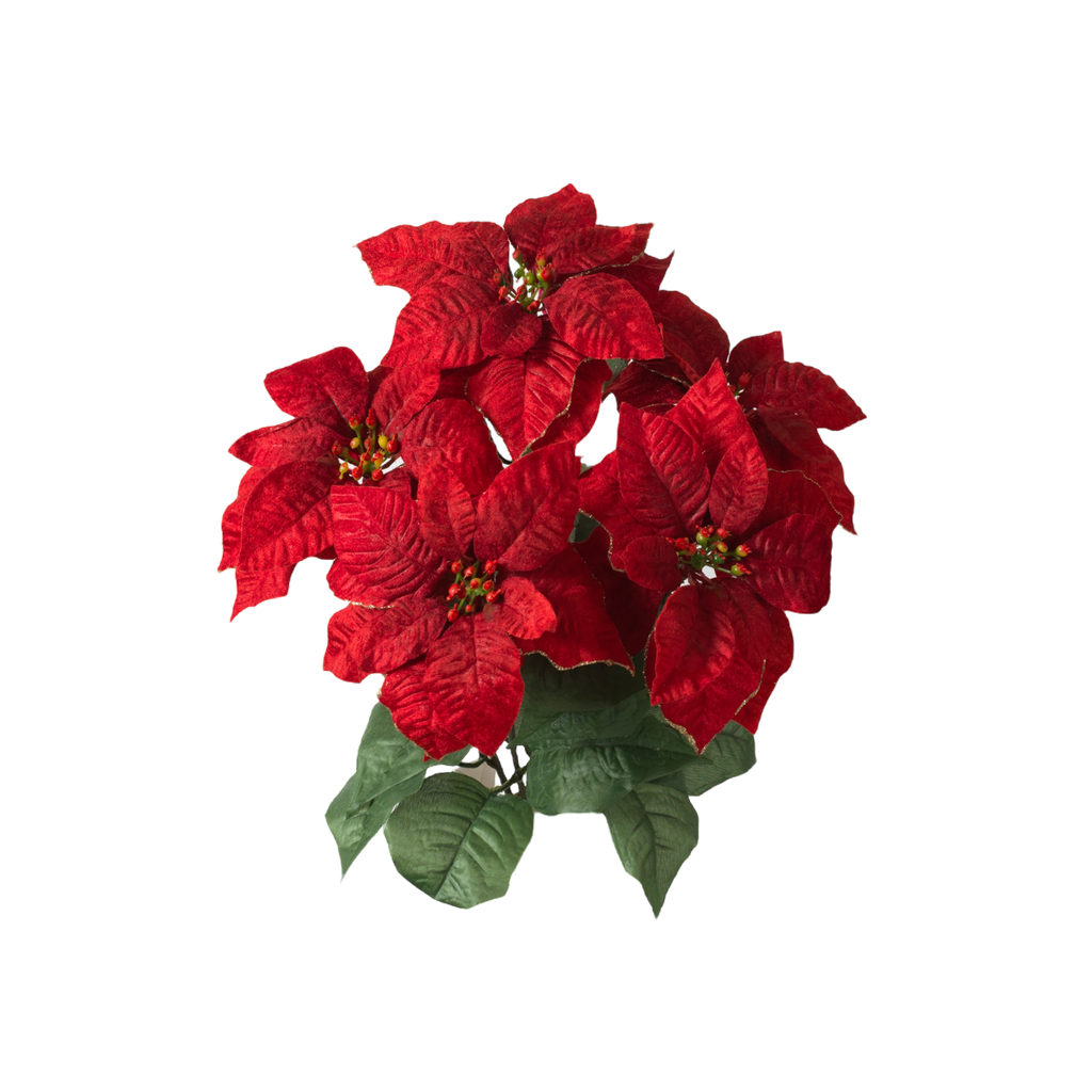 18" Glitter Edge Poinsettia Bush