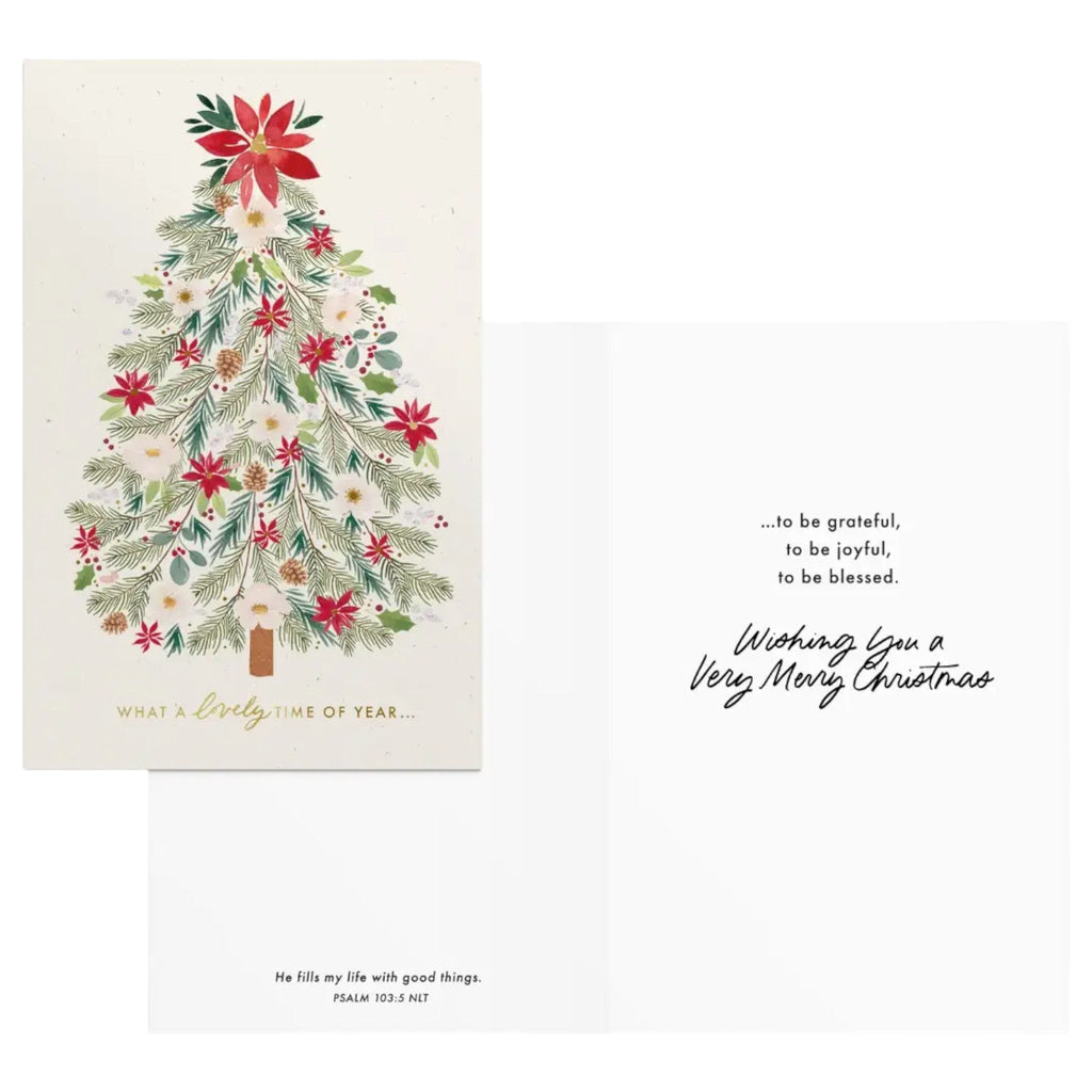 Be Merry and Blessed - 18 Assorted Christmas Boxed Cards and Envelopes