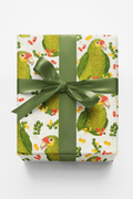 Feathered Fiesta Wrapping Paper