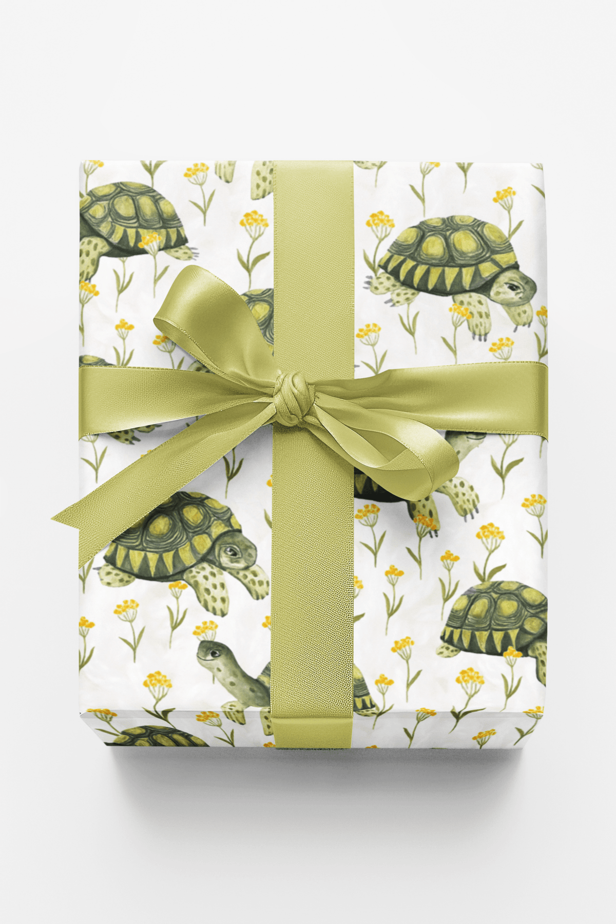 Shellabration Stroll Wrapping Paper
