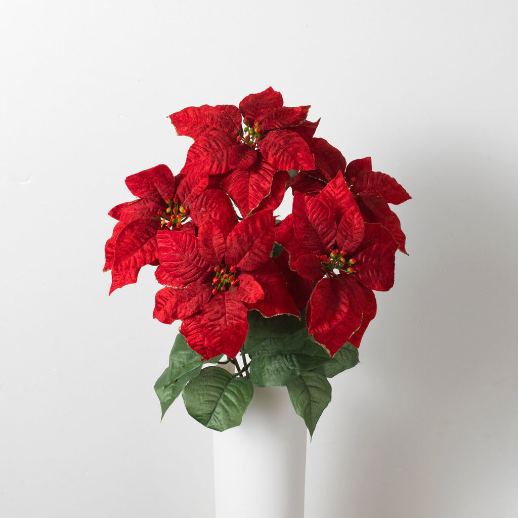 18" Glitter Edge Poinsettia Bush