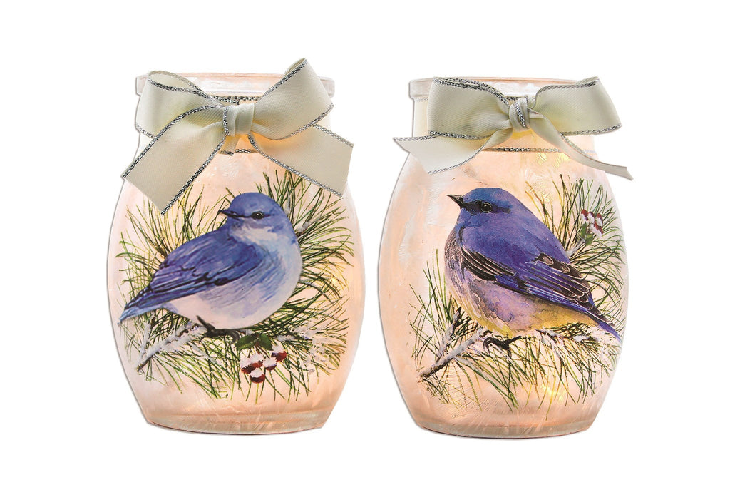 Winter Bluebird Lighted Jar with Ribbon -