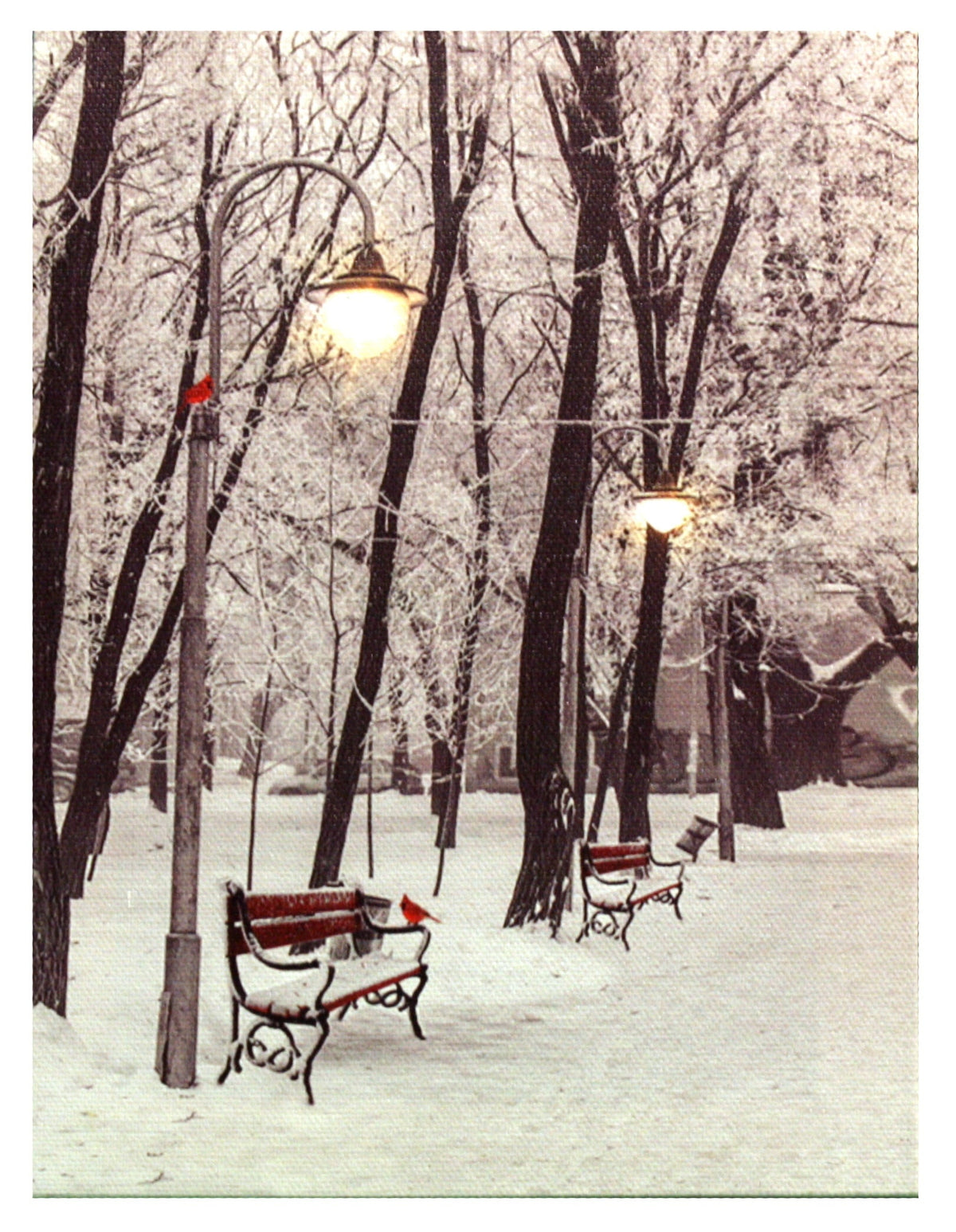 Lighted Canvas Print - Winter Park Bench