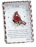 Christmas Cardinal Pin