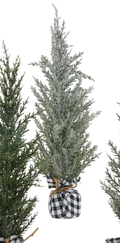 Charming Mini Christmas Tree -
